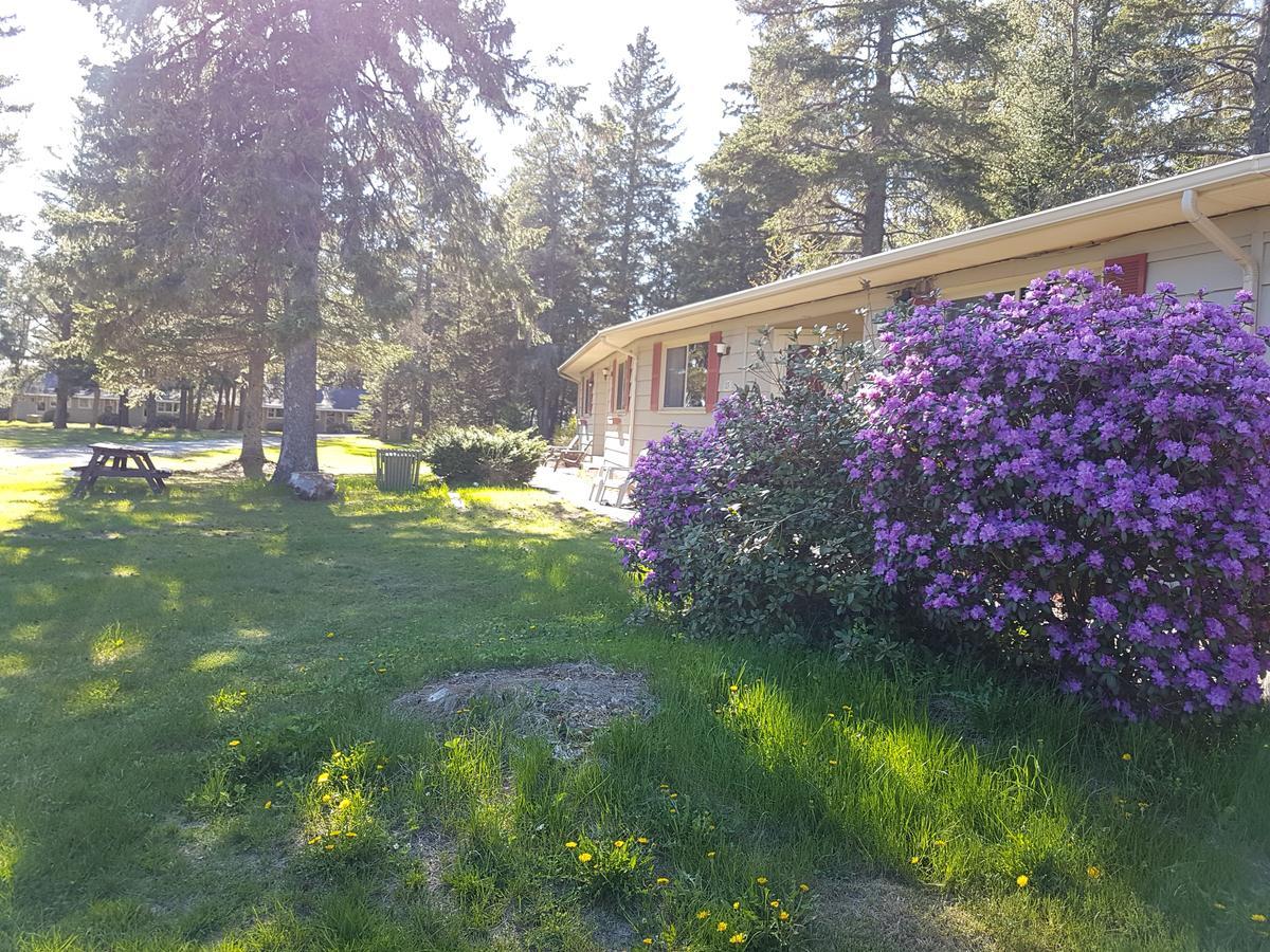 Pinecone Motel Sussex Exterior foto