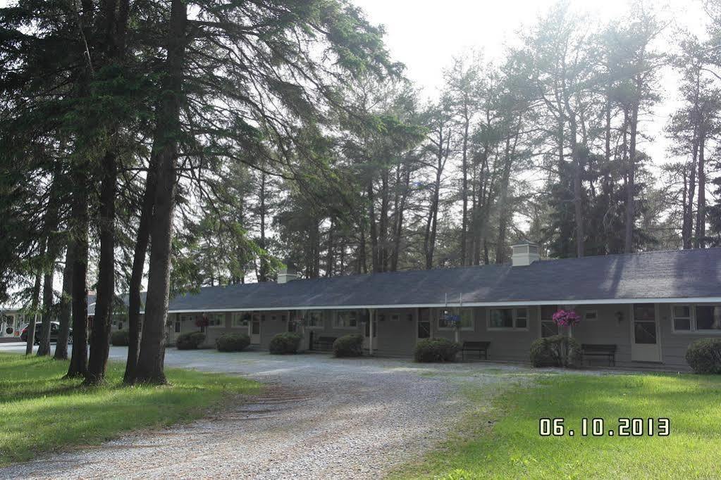 Pinecone Motel Sussex Exterior foto